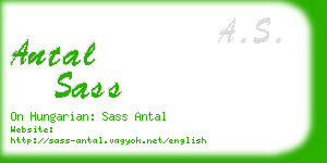 antal sass business card